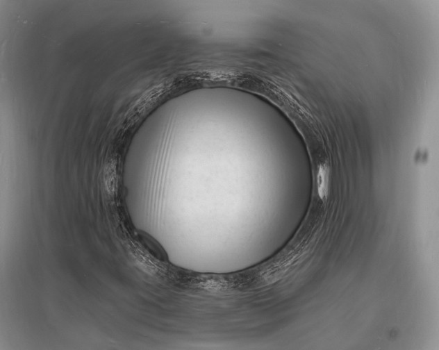 X0000096391395200802071526