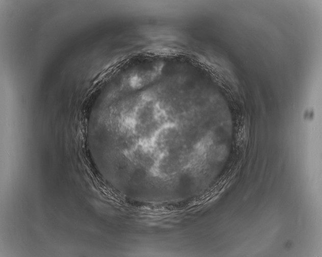 X0000096391397200802071526