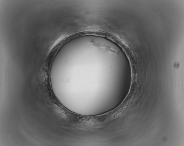 X0000096391400200802071526
