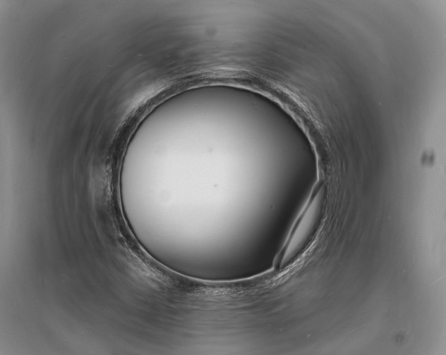 X0000096391402200802071526