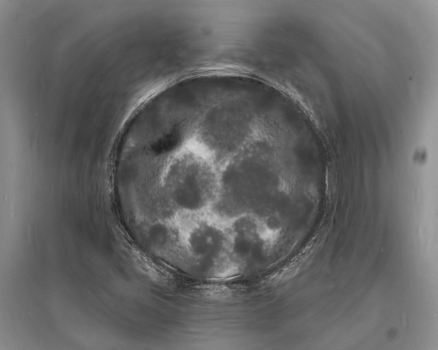 X0000096391405200802071526