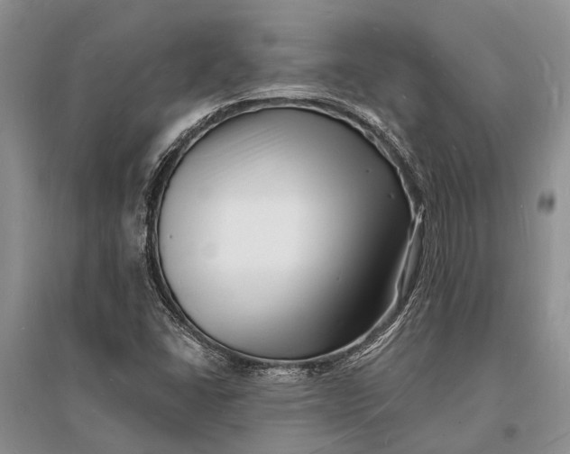 X0000096391406200802071526