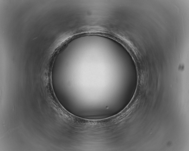 X0000096391407200802071526