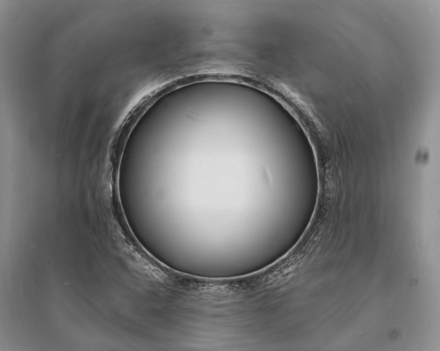 X0000096391408200802071526