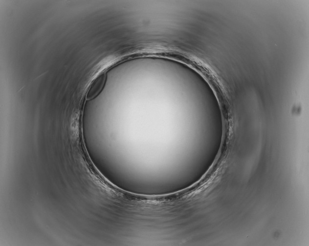 X0000096391409200802071526