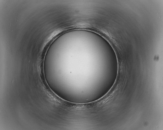 X0000096391410200802071526