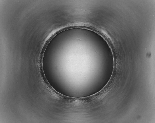 X0000096391412200802071526