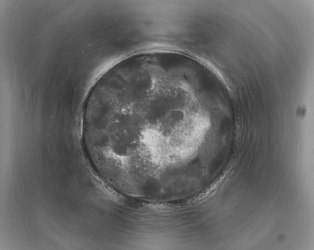 X0000096391413200802071526