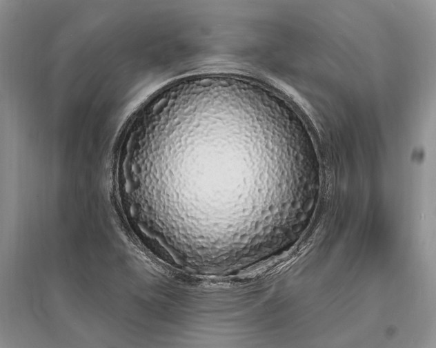 X0000096391415200802071526