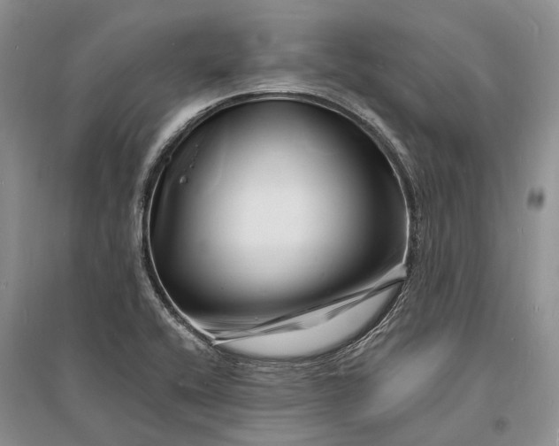 X0000096391416200802071526