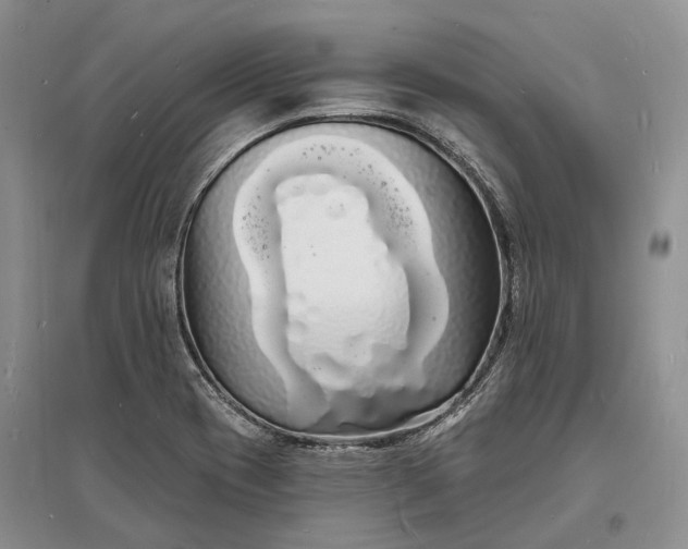 X0000096391417200802071526