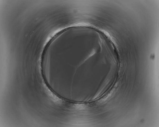X0000096391422200802071526