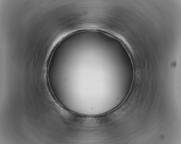 X0000096391424200802071526