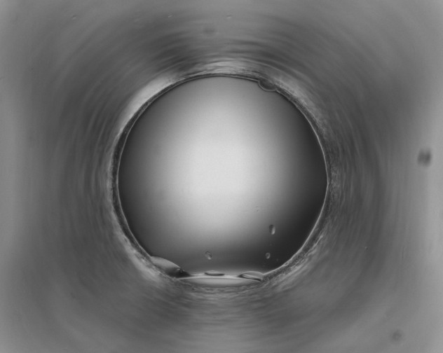 X0000096391426200802071526