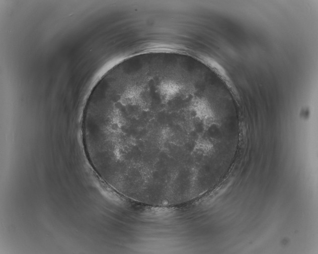 X0000096391427200802071526