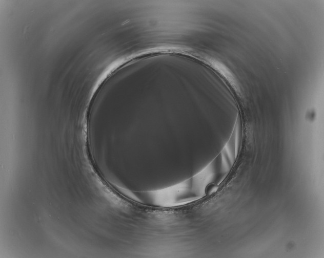 X0000096391428200802071526
