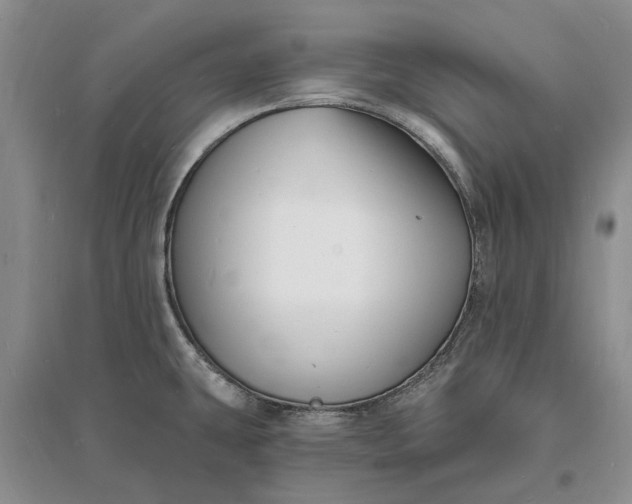 X0000096391431200802071526