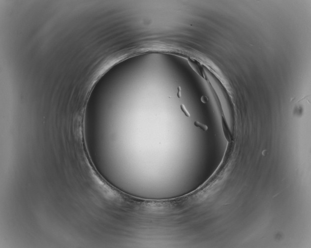 X0000096391433200802071526