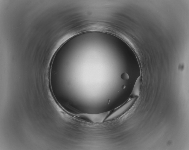 X0000096391434200802071526