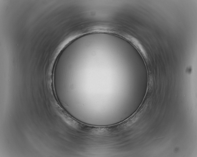 X0000096391435200802071526