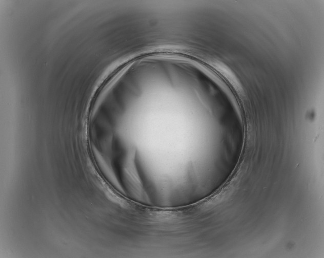 X0000096391436200802071526