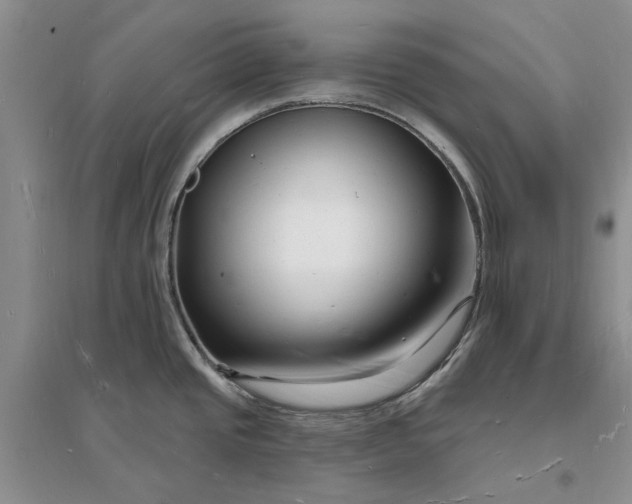 X0000096391437200802071526