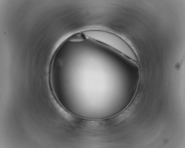 X0000096391438200802071526
