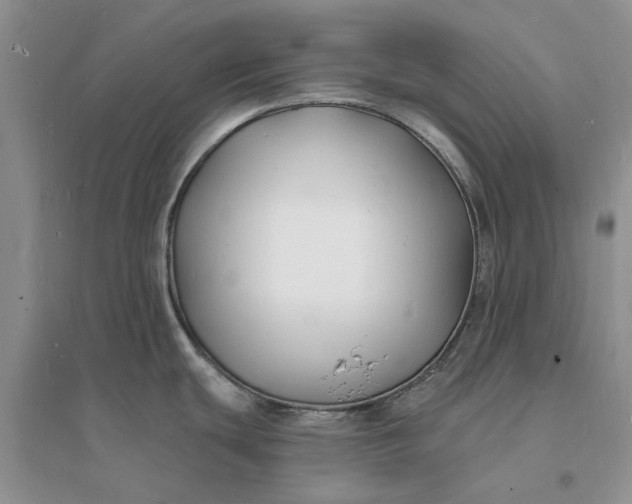X0000096391439200802071526