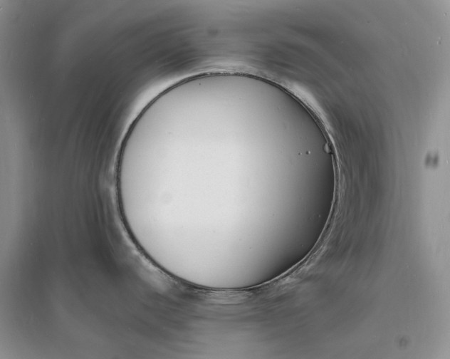 X0000096391440200802071526