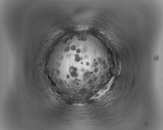 X0000096391441200802071526