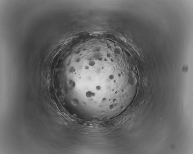 X0000096391445200802071526