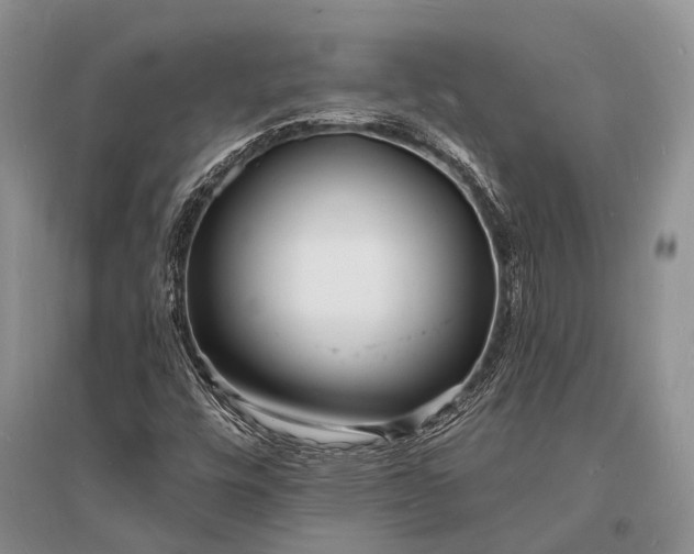X0000096391448200802071526