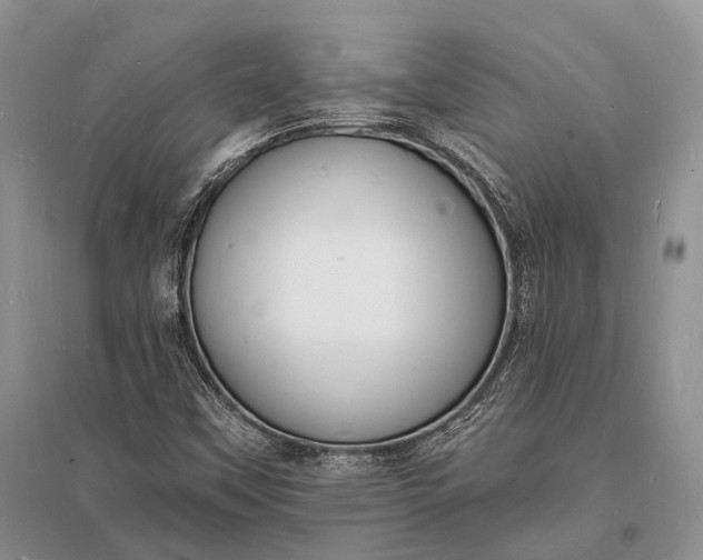 X0000096391451200802071526