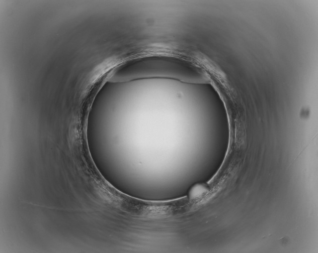 X0000096391453200802071526