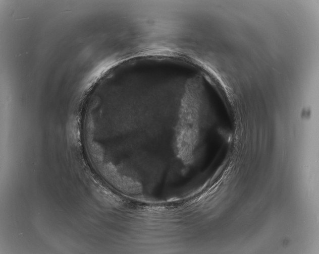 X0000096391455200802071525