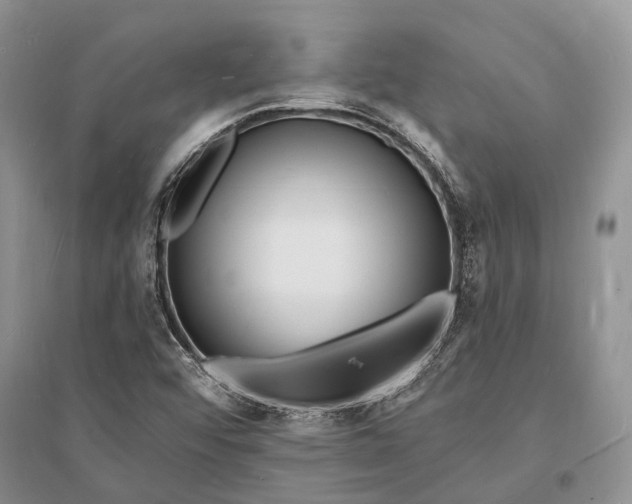 X0000096391456200802071525