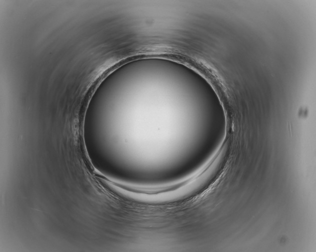 X0000096391457200802071525