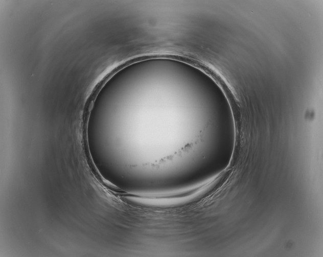 X0000096391460200802071525