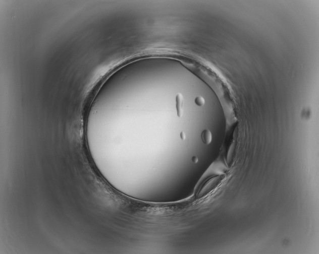 X0000096391461200802071525