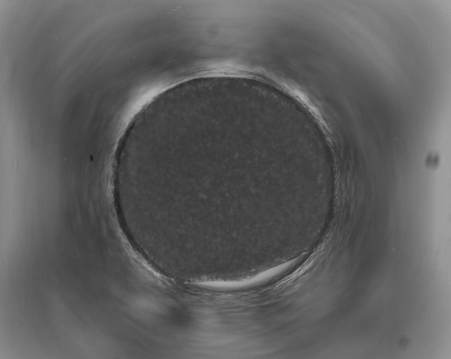 X0000096391463200802071525