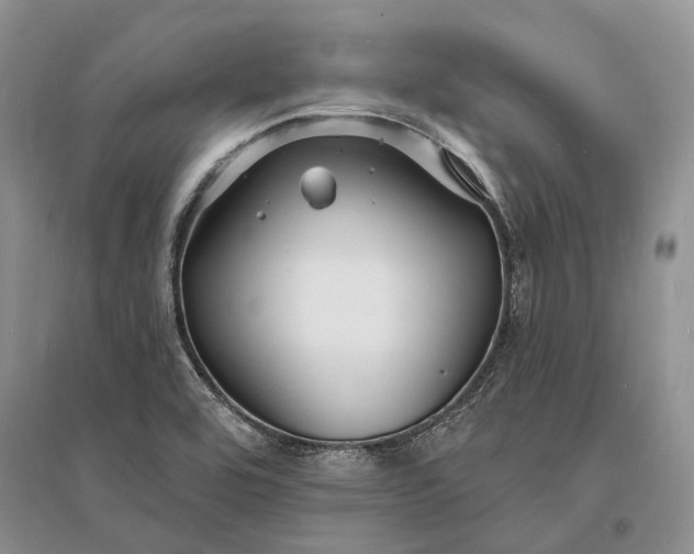 X0000096391464200802071525