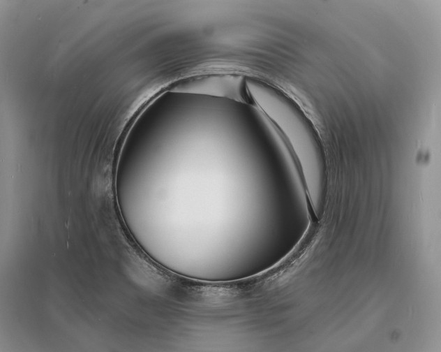 X0000096391465200802071525