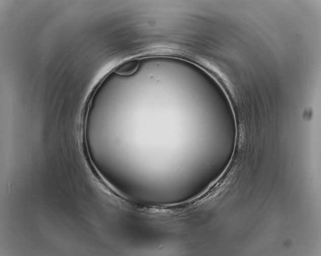 X0000096391467200802071525