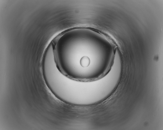 X0000096391468200802071525