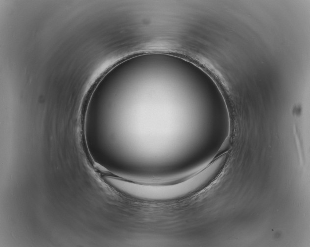 X0000096391469200802071525