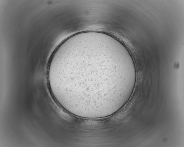 X0000096391470200802071525