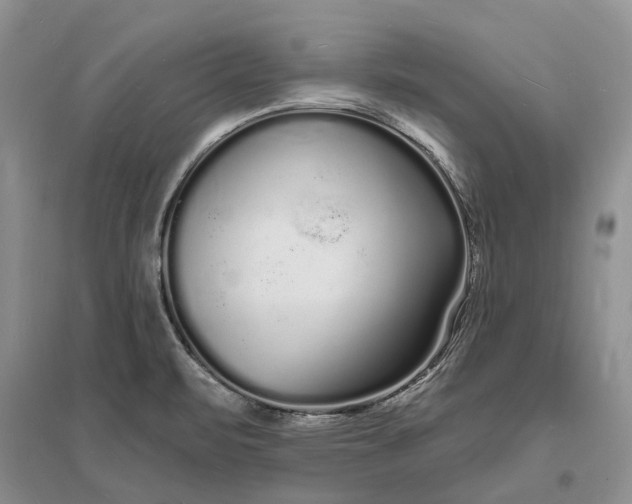 X0000096391471200802071525