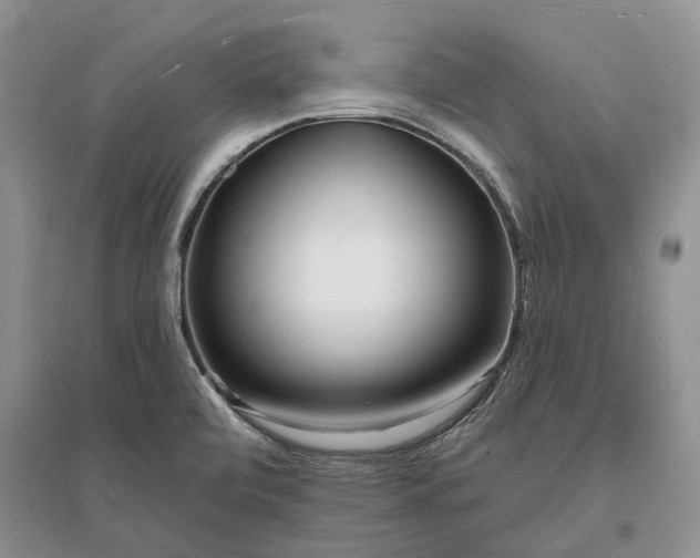 X0000096391472200802071525