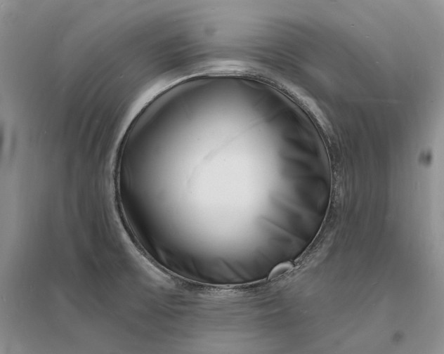 X0000096391475200802071525