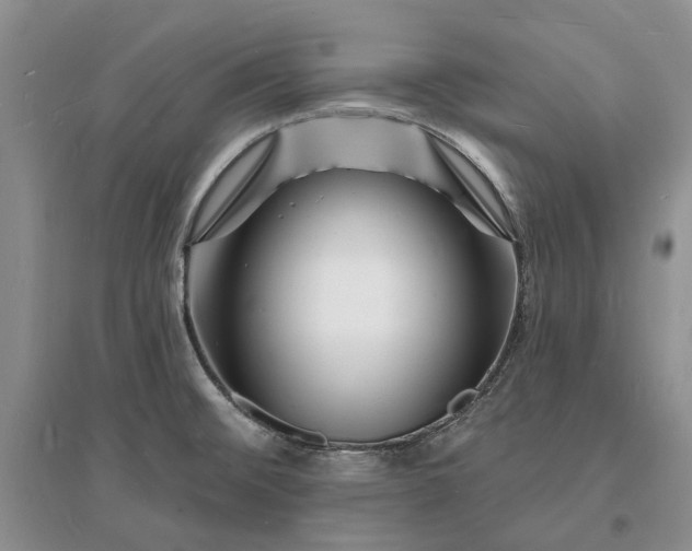 X0000096391476200802071525